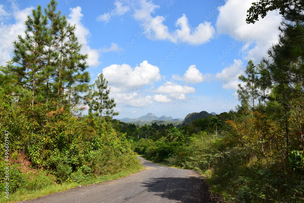 Landstraße durch kubanische Hügellandschaft