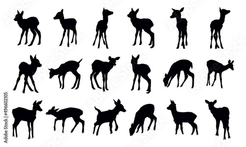 Collection of Graphic black silhouettes of wild deers male, female, and roe deer.