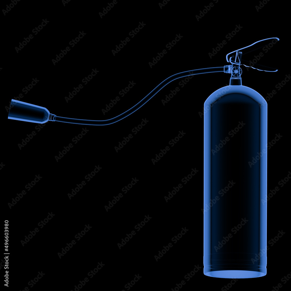 Obraz premium X-ray fire extinguisher