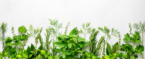 Various fresh herbs arranged in a frame. Cooking concept with spices garden herbs. Healthy food.Top view.