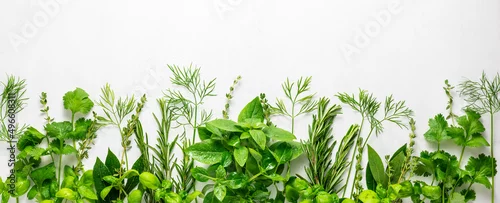 Panel kuchenny z motywem Various fresh herbs arranged in a frame. Cooking concept with spices garden herbs. Healthy food.Top view.