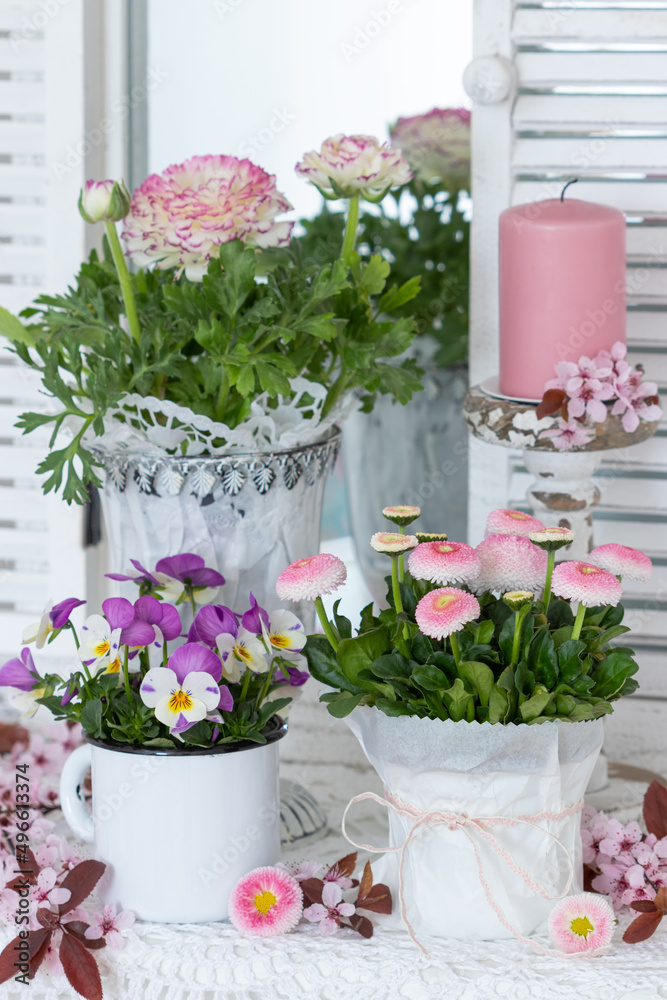 florale Dekoration mit pink Maßliebchen, Hornveilchen und Ranunkeln