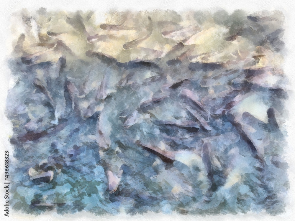 Flock of freshwater fish in the river watercolor style illustration impressionist painting. Flock of freshwater fish in the river watercolor style illustration impressionist painting.