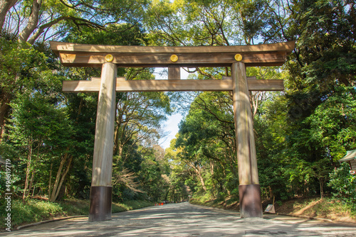 Fotografie Torii (traditional Japanese gate) in a forest on the way to Meiji-jingu Shinto S