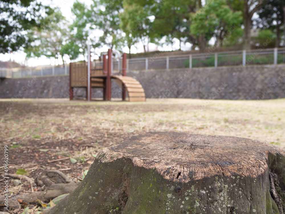 雨上がりの公園の遊具 雨上がりの公園の遊具