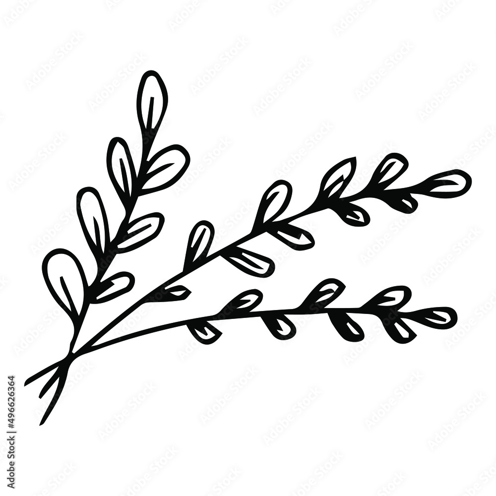 Willow. Tree branches are tied with thread. Sketch. Vector illustration. Coloring book for children. Doodle style. Happy Easter. Fluffy plant. Herald of spring. Outline on isolated background.