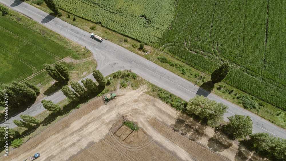 Aerial view combine harvester harvesting on the field