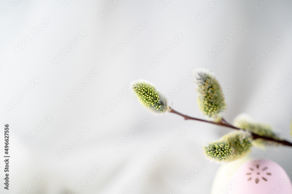 willow branches, a symbol of Easter and spring, traditional Orthodox holidays willow branches, a symbol of Easter and spring, traditional Orthodox holidays