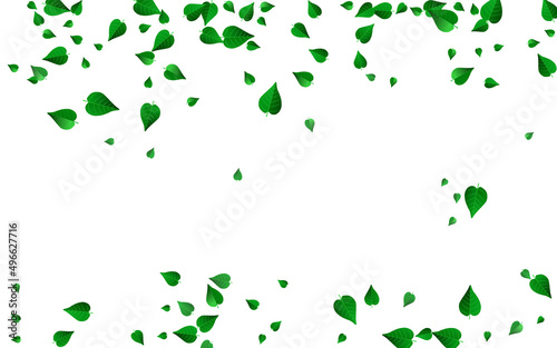 Lime Leaves Forest Vector White Background © Natallia
