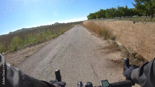 Bike ride along asphalt road past fruit orchards on a sunny day, first person view