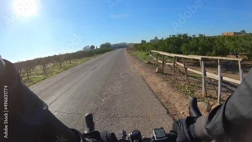 Bike ride along asphalt road past fruit orchards on a sunny day, first person view