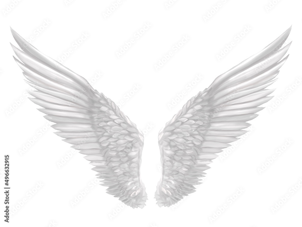 Obraz premium 白の翼 素材イラスト