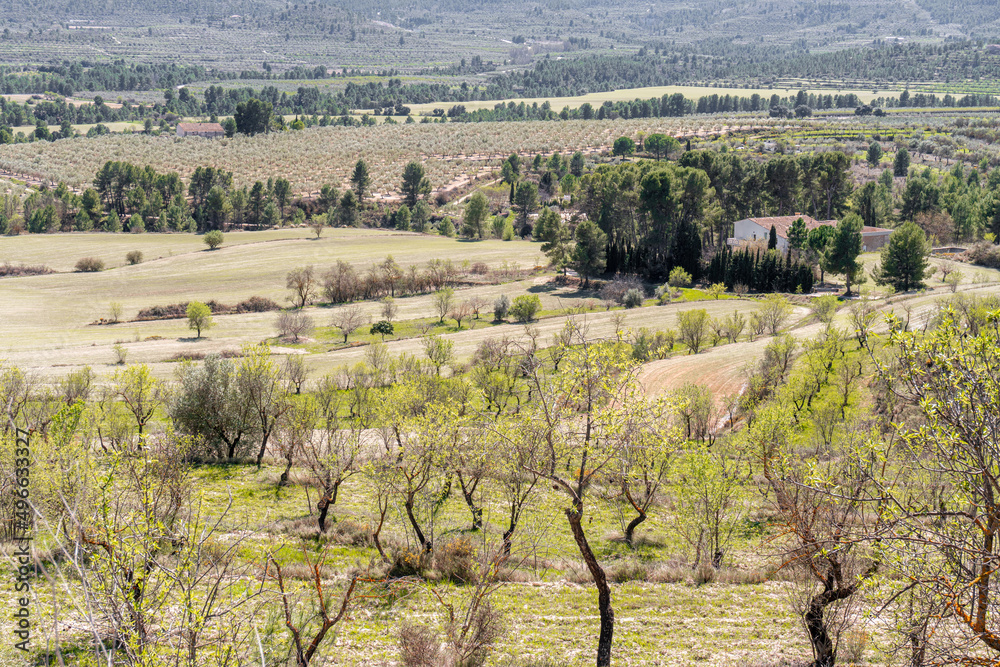 Panoramic landscape overlooking crop fields on a sunny spring day.