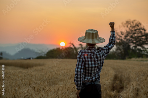 Farmer man with digital tablet working on farm agricultural concept work in the rice fields