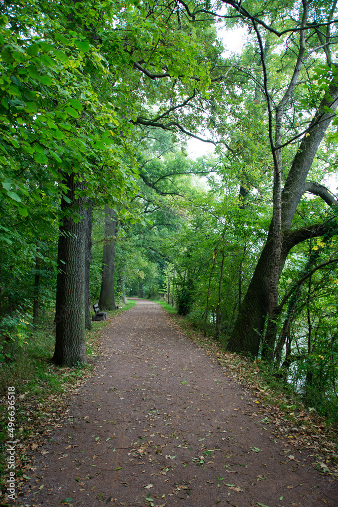 Fototapeta premium An der Saale-Aue