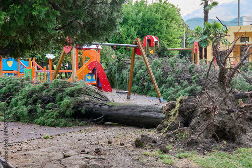 climate change, trees come down on children's playground during summer storm