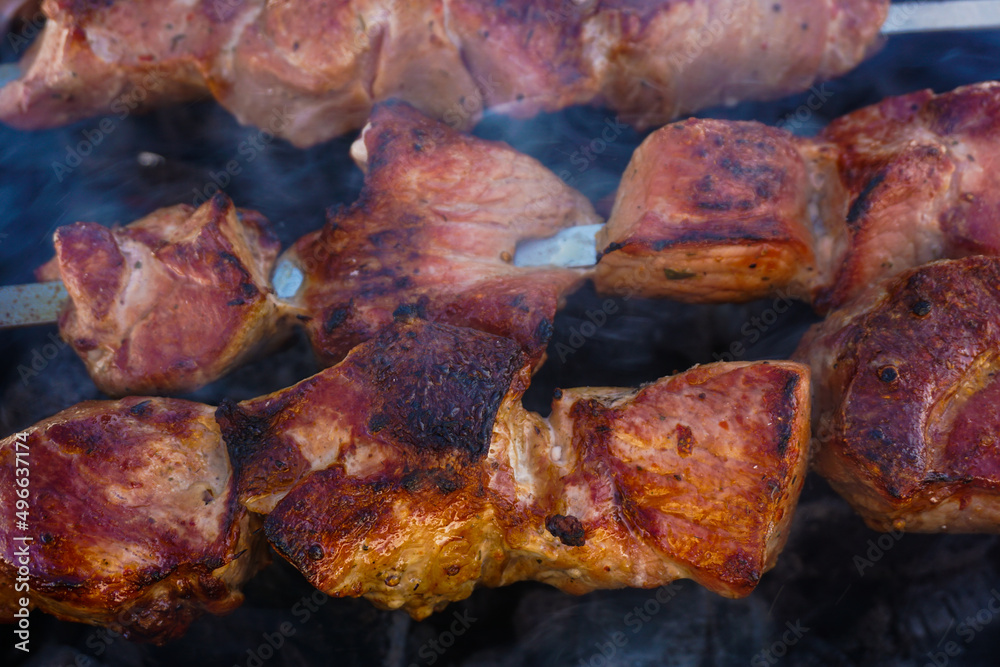 grilled meat on the grill grilled meat on the grill