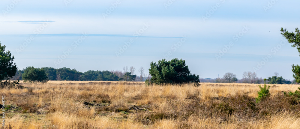 panoramic landscape Weert The Netherlands
