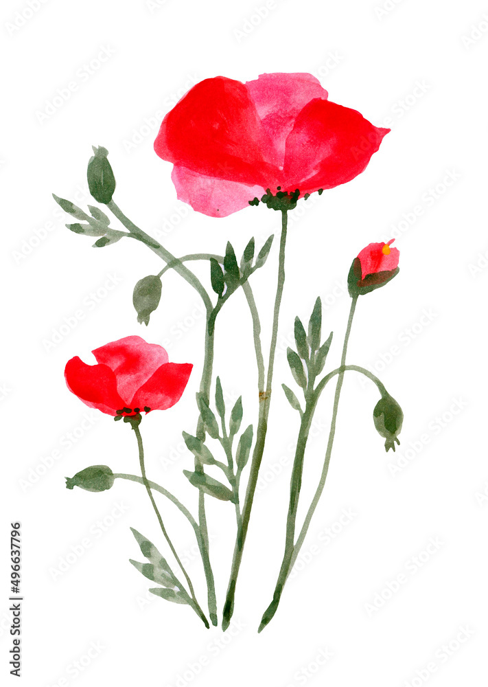 Watercolor poppies. Red flowers bouquet. Greeting card design template