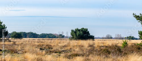 panoramic landscape Weert The Netherlands