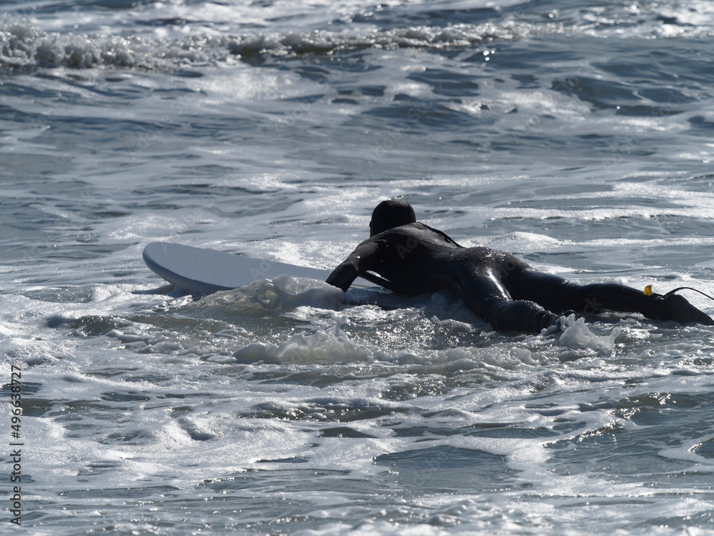 Fototapeta premium Paddleboarder walking inside ocean carrying paddleboard