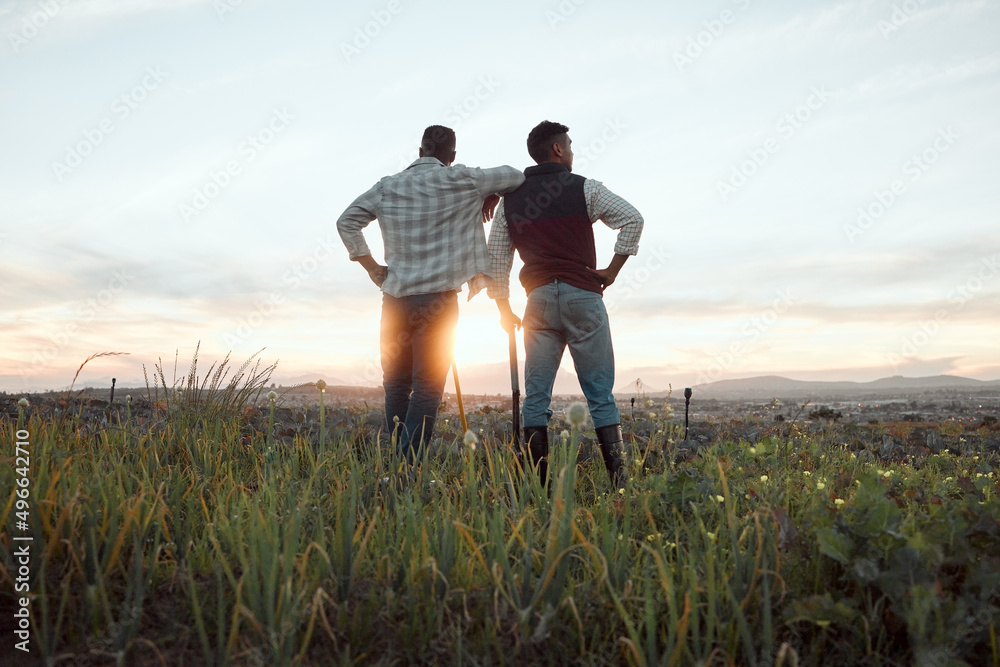 Agriculture engenders good sense. Shot of two farmers standing on a farm during sunset.