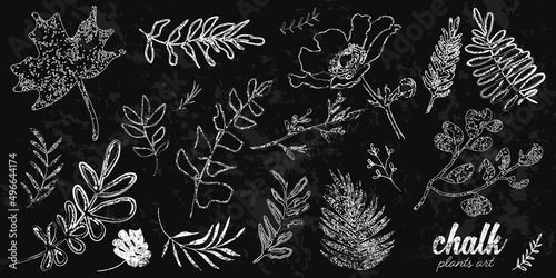 Chalk plants art set. Individual design elements for your own project. Great effect structure. Hand drawn colorful chalk plant set - universally usable. Hand drawn lines and elegant leaves.