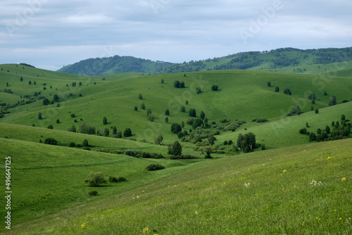 Mountain meadows of Altai.