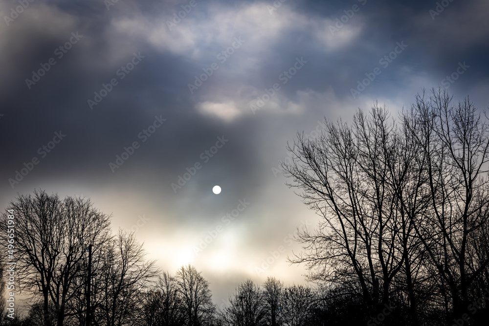 Moon in the middle of a gloomy morning sky, amongst leafless winter trees. Moon in the middle of a gloomy morning sky, amongst leafless winter trees.