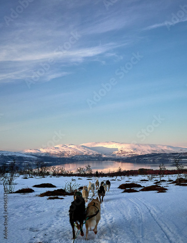 Norway - Tromso - Husky Dog Sledding
