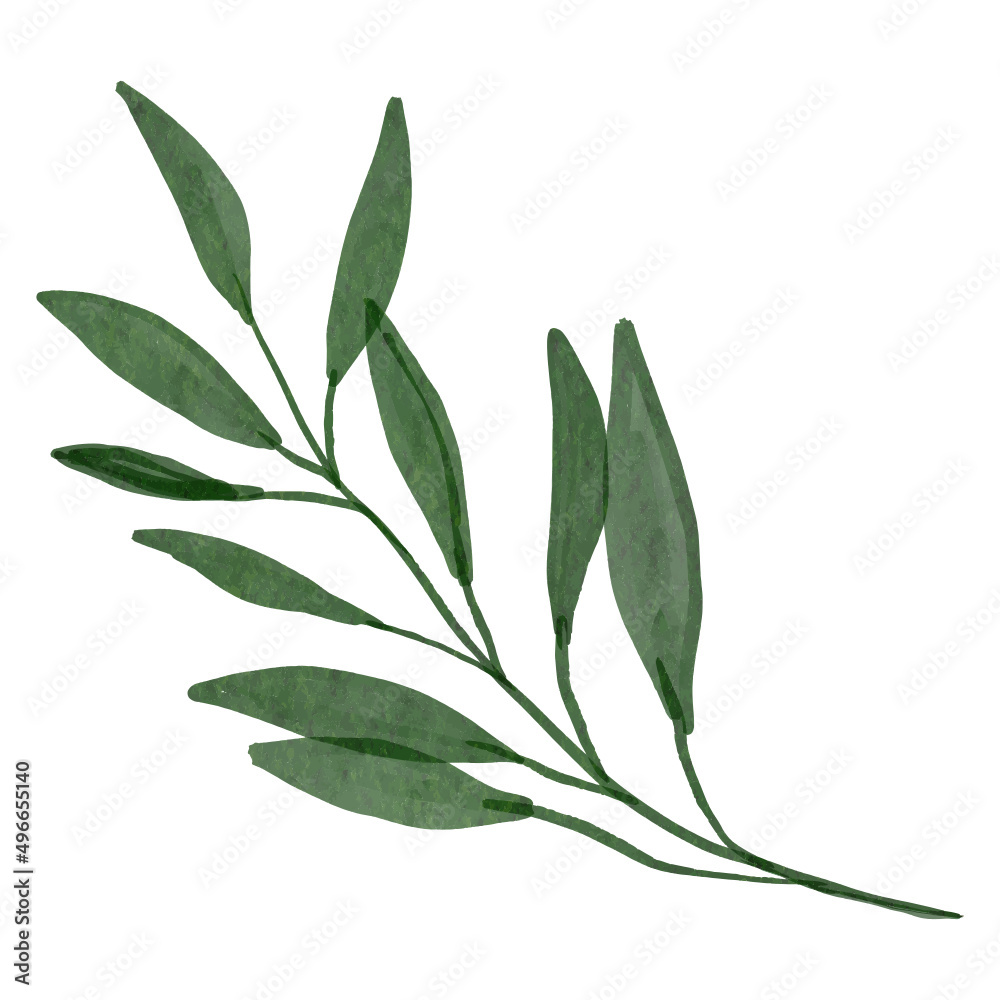 Leaves Watercolor, Aesthetic Handdrawn Leaf Leaves Watercolor, Aesthetic Handdrawn Leaf