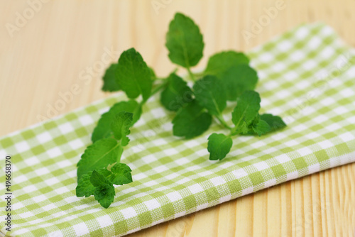 Obraz na płótnie Fresh mint leaves on checkered kitchen cloth
w salonie