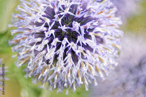 Im Garten