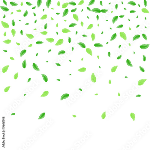 Greenish Sheet Background White Vector. Vegetation Air Design. Silhouette Illustration. Green Park Card. Greenery Agriculture.