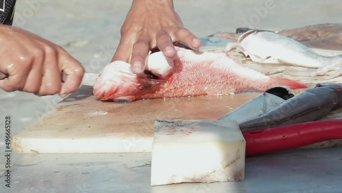 View of a young man cleaning fish on a table in the port.