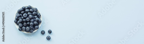 Banner made Fresh blueberries in white bowl on pastel blue background. Flat lay, top view, copy space