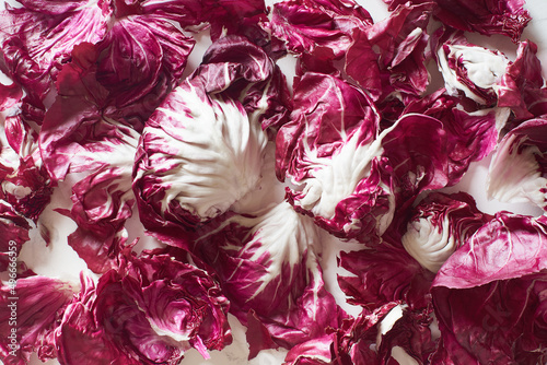 Flatlay with fresh radicchio salad leaves