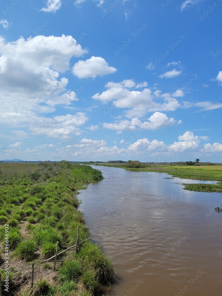 brown river in the middle of the natural plain