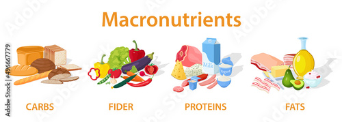 A set of useful macronutrients.Fiber, proteins, fats and carbohydrates.A set of useful products.Vector illustration.