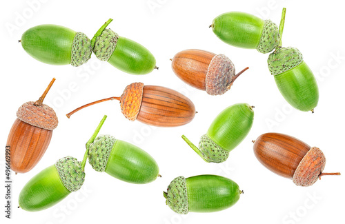 Set of brown and green acorns isolated on a white background, top view. photo