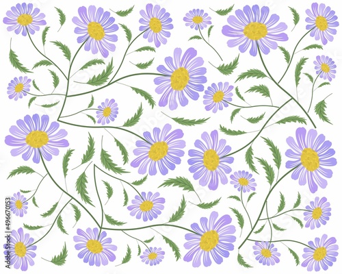 Symbol of Love, Background of Bright and Beautiful Purple Daisy or Gerbera Flowers.  © Iamnee