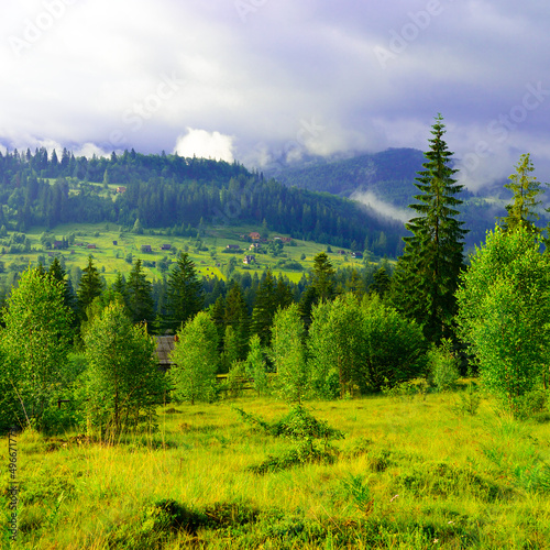 Picturesque mountain valley covered with forest and fog in background.