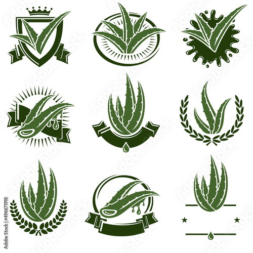 Aloe Vera labels and elements set. Collection icon Aloe Vera. Vector