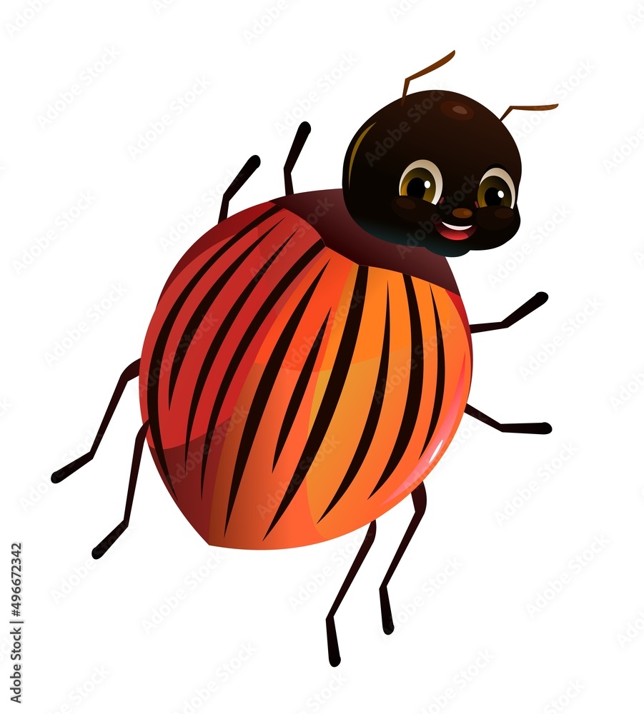 Fototapeta premium Colorado beetle. View from the back. Wildlife object. Little funny insect. Cute cartoon style. Isolated on white background. Vector