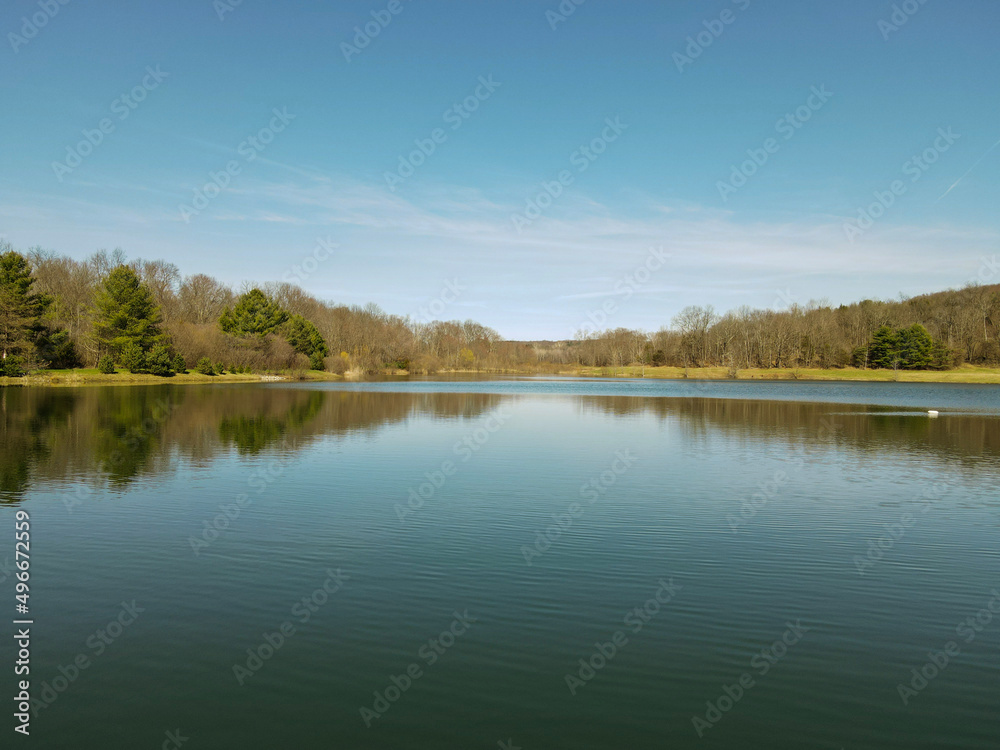 lake and forest