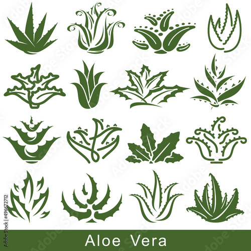 Aloe Vera set. Collection icon Aloe Vera. Vector