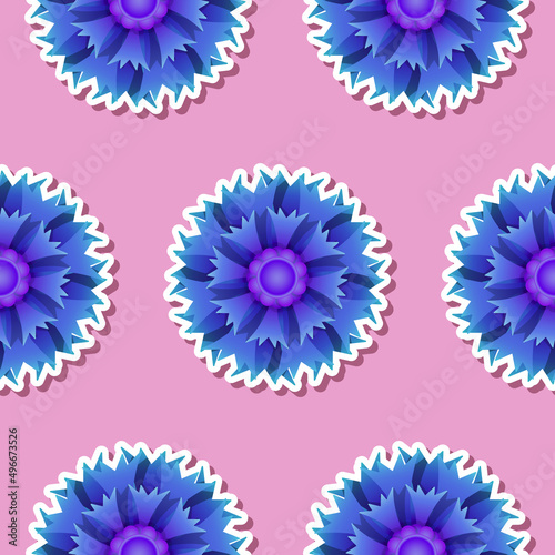 Seamless pattern with cornflowers in clip art style on pink background. Retro wallpaper, vintage background, wrapping paper concept with blue wild flowers