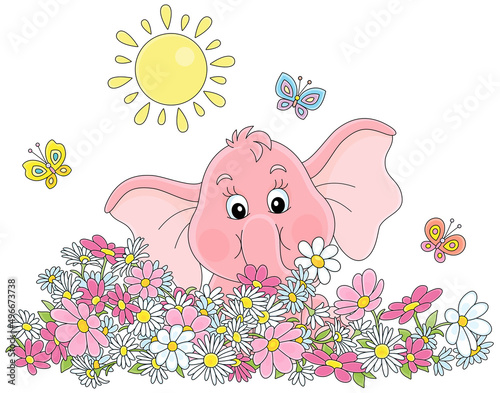 Little pink elephant playing with merry butterflies among colorful flowers on a sunny summer day  vector cartoon illustration isolated on a white background