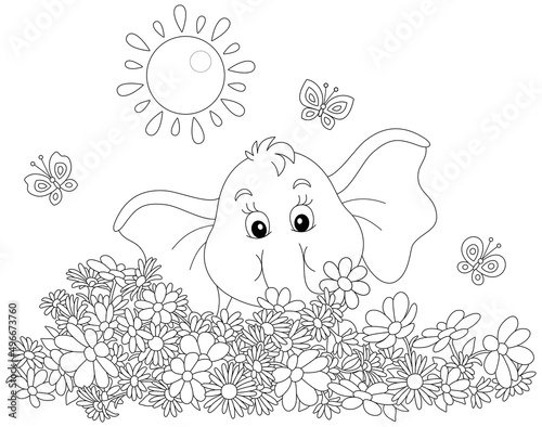 Little elephant playing wit...