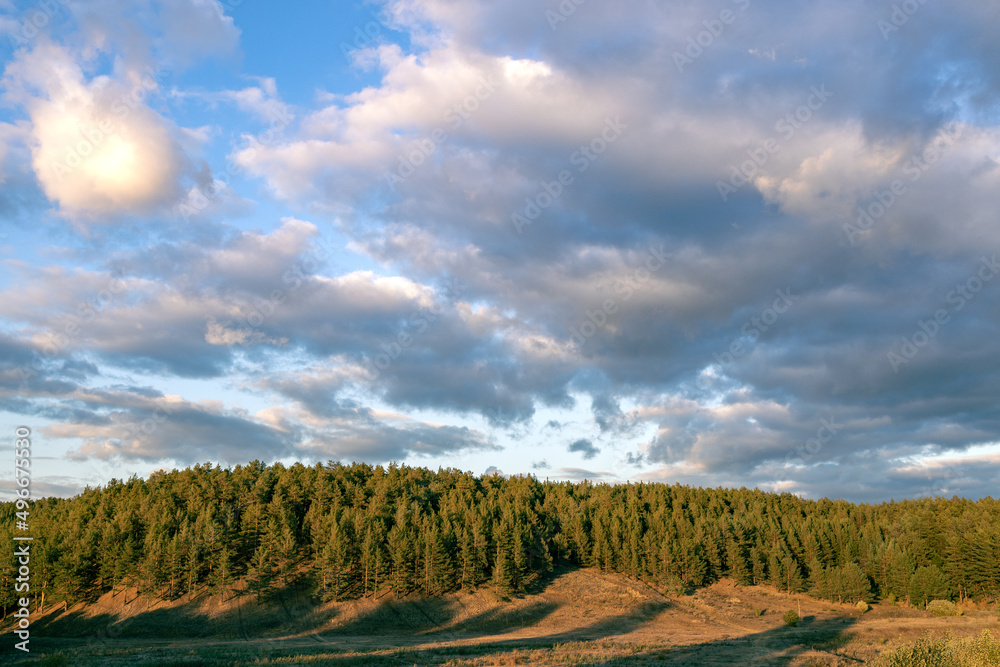 Naklejka premium landscape of the forest and clouds above it, a hill covered with pines